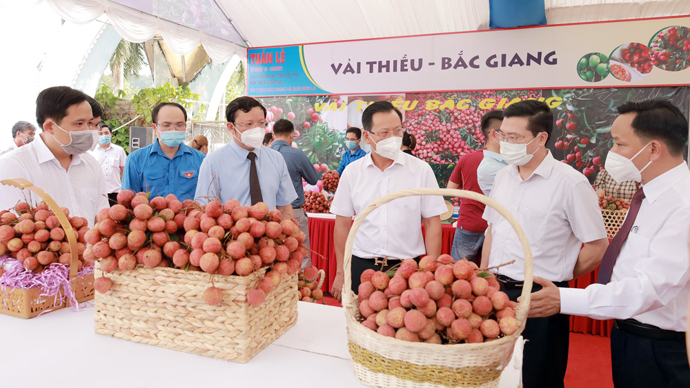 Hội nghị xúc tiến thương mại nông sản Việt Nam