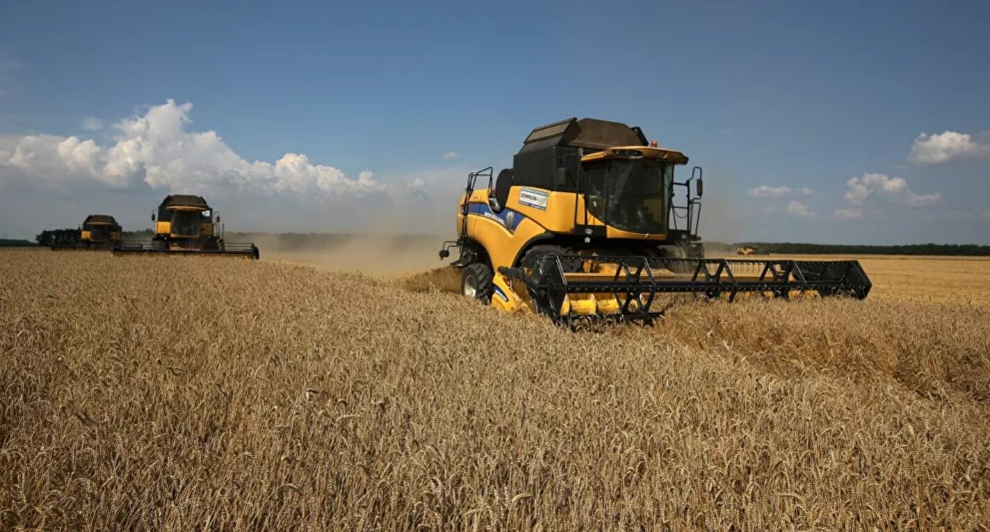 Thị trường nhập khẩu lúa mì tăng ở Úc nhưng lại giảm ở Nga