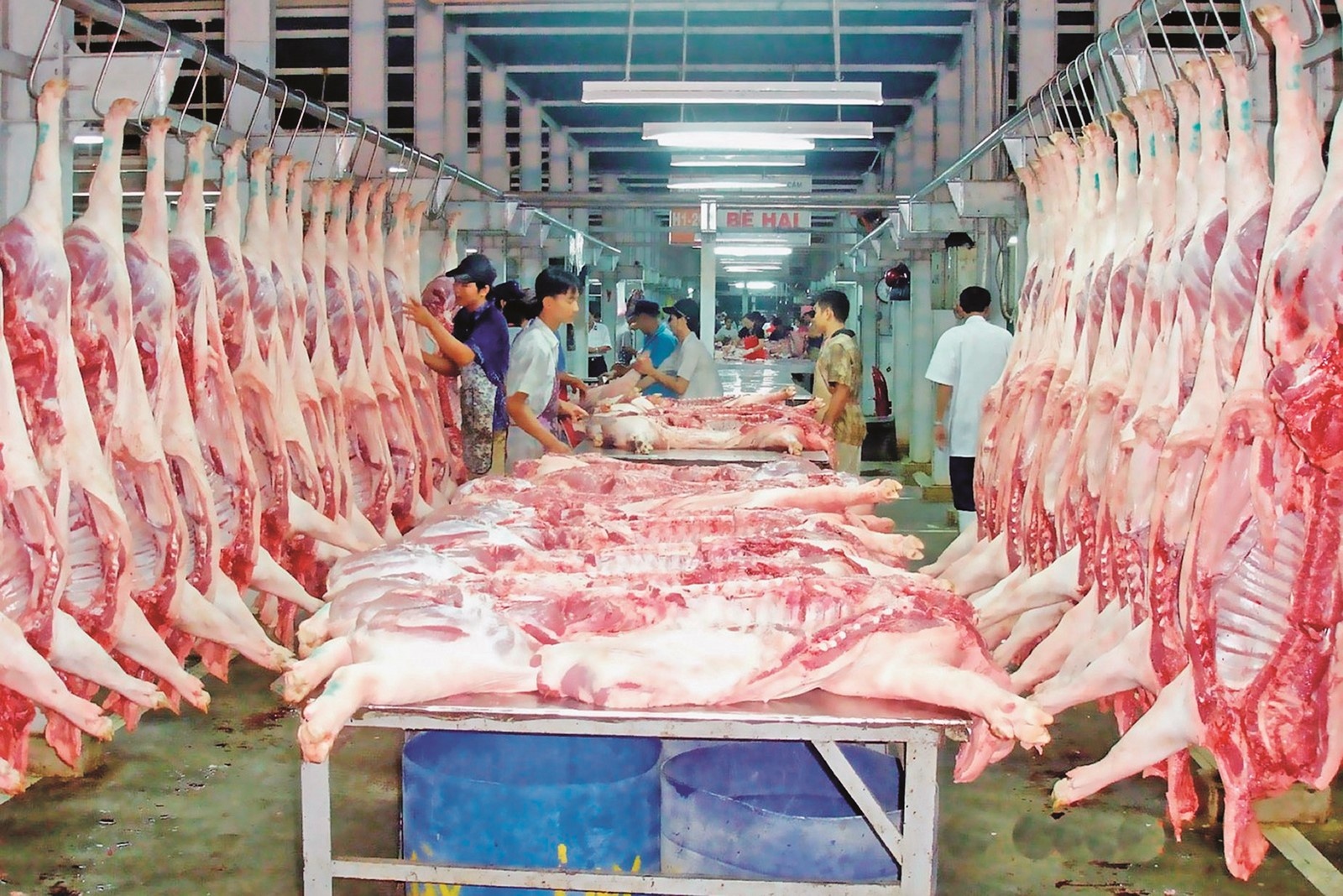 Thị trường nhập khẩu thịt lợn có dấu hiệu tăng trưởng cao