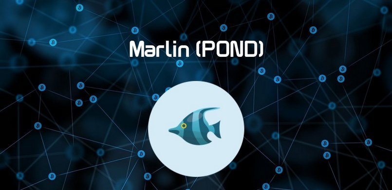 Marlin Protocol là gì?